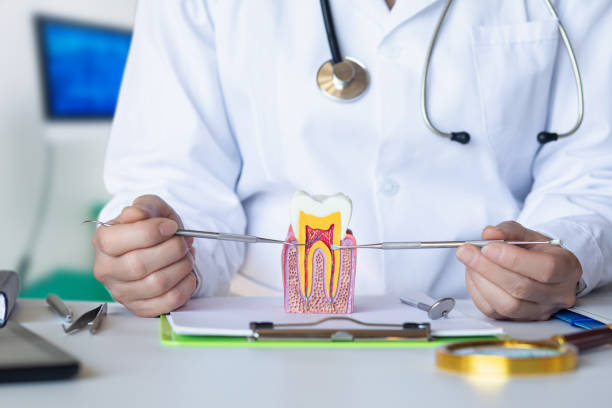 Best Emergency Root Canal Therapy in Villas, FL